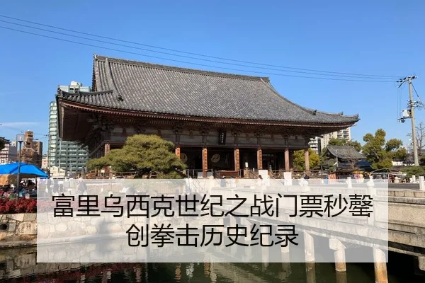 富里乌西克世纪之战门票秒罄 创拳击历史纪录